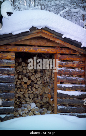 Legna da ardere immagazzinata in una legnaia in Svezia Foto Stock