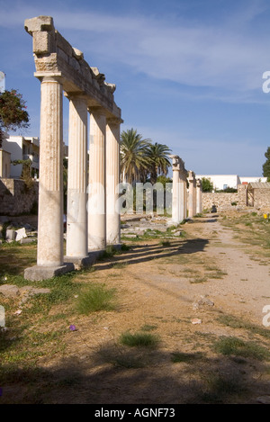 Dh archeologico occidentale della città di Kos Grecia KOS Western sito archeologico palestra xystos pilastri ripristinato Foto Stock