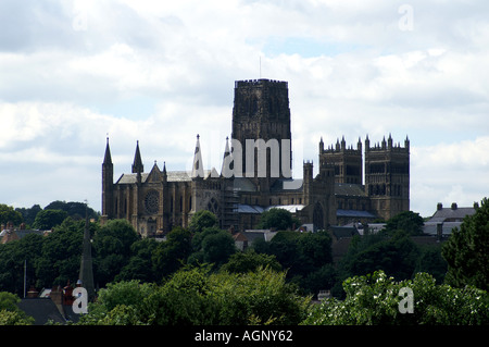 La Cattedrale di Durham dal North East England Regno Unito Regno Unito Gran Bretagna GB Europa arborial alberi frondosi Foto Stock