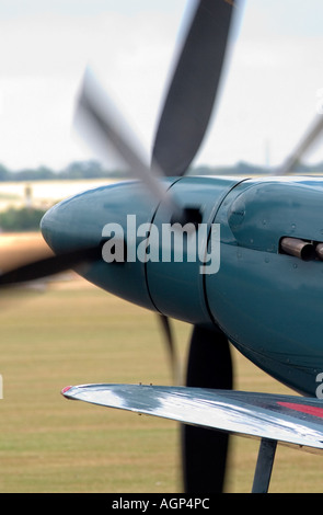 Il Supermarine Spitfire PR XIX PS890 Foto Stock