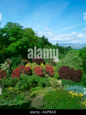 Muncaster Castle Gardens, ESK dale, parco nazionale del distretto dei laghi, cumbria, Inghilterra, Regno Unito. Foto Stock