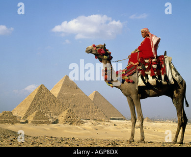 Piramidi, Giza, Egitto, Nord Africa, con Camel e Guida, UAR Foto Stock
