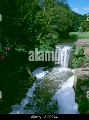 Inquinamento del fiume in un parco del centro della città; l'Ouseburn a Jesmond Dene, Newcastle upon Tyne, Tyne and Wear, Inghilterra, Regno Unito. (1980) Foto Stock