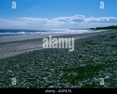 Di ghiaia e di sabbia spiaggia, Seaham, County Durham, Inghilterra, Regno Unito. Foto Stock