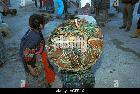 Guatemala, San Francisco El Alto, ragazza in piedi dai suini in basket Foto Stock