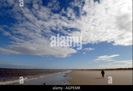 Un camminatore solitario a Findhorn Beach,a nord-est della Scozia.UK Foto Stock