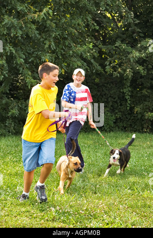 I bambini di formazione di razza mista rifugio cani come parte di un programma in cui i ragazzi lavorare con i cani per renderli più adottabile New Albany Foto Stock