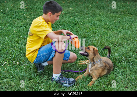 Ragazzo socializzare con un misto di razza cane rifugio come parte di un programma in cui i ragazzi lavorare con i cani per renderli adottabili Foto Stock