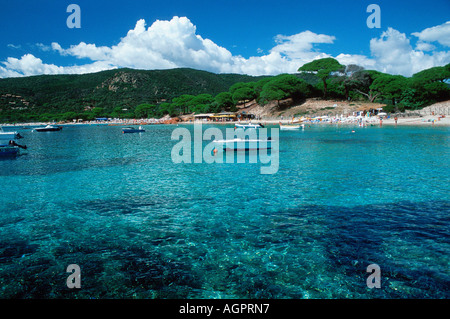 Plage de Palombaggia / Porto Vecchio Foto Stock