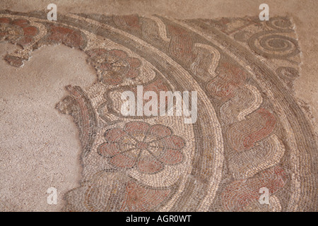 Una sezione di un mosaico di pavimento floreale beauriful al palazzo romano di Fishbourne, Sussex occidentale, Inghilterra, Regno Unito Foto Stock