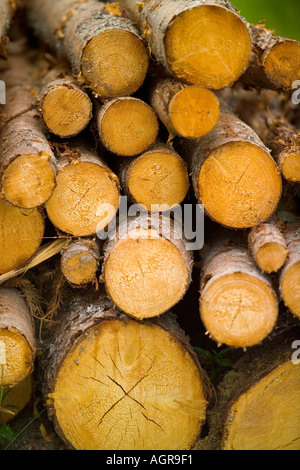 Struttura impilata registra nei pressi di Torsby nella contea di Varmland Svezia Foto Stock