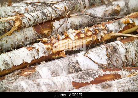 Struttura impilata registra nei pressi di Torsby nella contea di Varmland Svezia Foto Stock