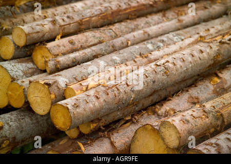 Struttura impilata registra nei pressi di Torsby nella contea di Varmland Svezia Foto Stock