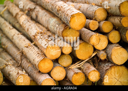 Struttura impilata registra nei pressi di Torsby nella contea di Varmland Svezia Foto Stock