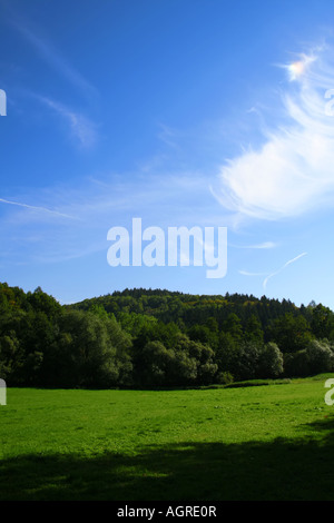 Prato verde vibrante con fitta foresta sullo sfondo sotto un cielo blu luminoso con nuvole bianche sparse e un tranquillo ambiente naturale. Foto Stock