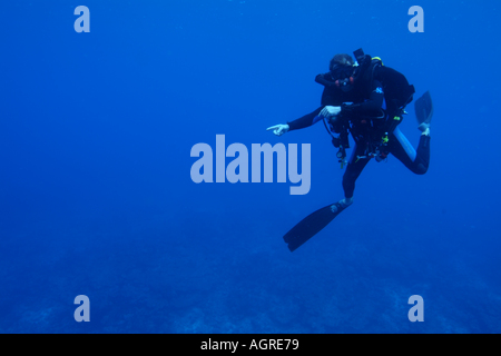 Maldive Atollo del Nord di male lanka un subacqueo rivolto un gigante manta ray manta birostris intorno alla stazione di pulizia Foto Stock