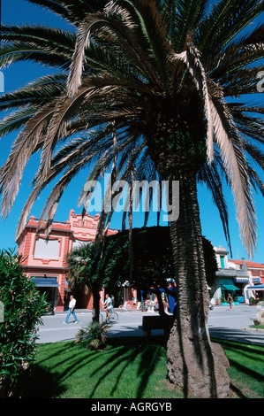 Strada costiera Foto Stock