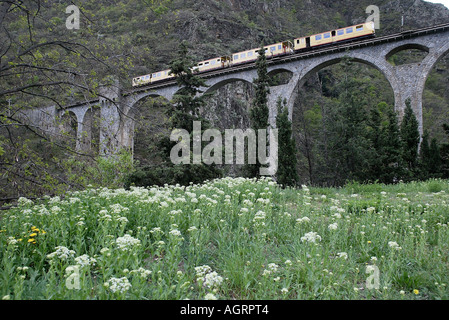 LE TRAIN JAUNE Yellow train vicino alla stazione di FONTPEDROUSE Languedoc Rousillon FRANCIA Foto Stock