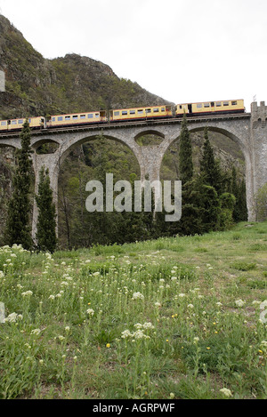 LE TRAIN JAUNE Yellow train vicino alla stazione di FONTPEDROUSE Languedoc Rousillon FRANCIA Foto Stock