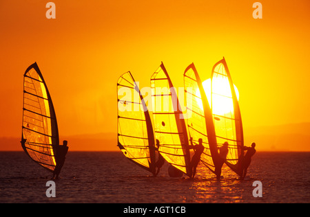 Quattro windsurfisti unite da un unico windsurf vela il bagliore arancione di un tramonto sul Mar Rosso il Sinai Egitto Foto Stock