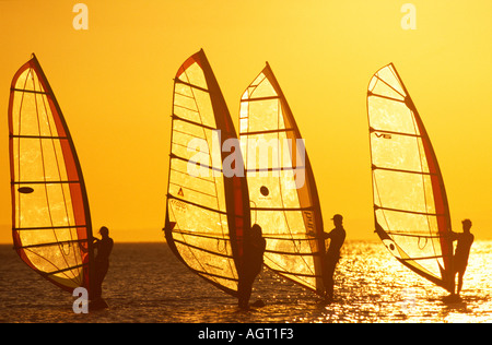 Quattro windsurfisti stagliano nella luce dorata del sole al tramonto mentre la vela sul Mar Rosso il Sinai Egitto Foto Stock