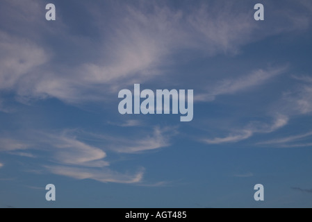 Dh SKY Meteo Whispy nuvole bianche luce della sera i cieli blu Isole Orcadi Scozia Scotland Foto Stock