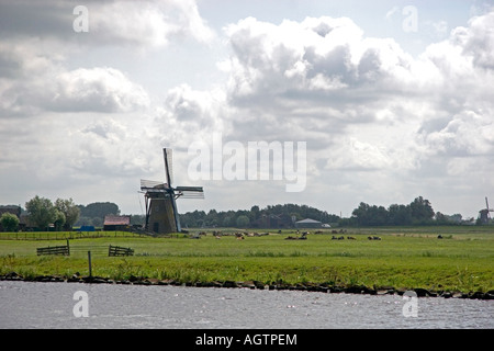 Mulini a vento lungo un canale a est di Leiden in provincia di South Holland Olanda Foto Stock