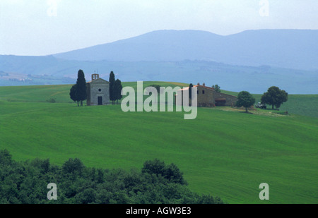 Paesaggio della Toscana vicino a Pienza Italia Foto Stock