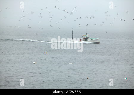 Lobster Boat al di fuori della penisola Schoodic Parco Nazionale di Acadia nel Maine USA Foto Stock