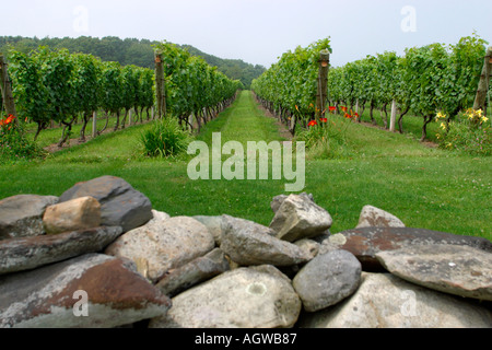 Vigneti Sakonnet Winemakers Little Compton Rhode Island Foto Stock