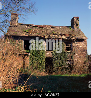 Abbandonate abbandonate vecchia casa di pietra cottage con tetto allentati piastrelle in Galles, UK KATHY DEWITT Foto Stock