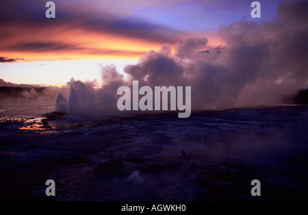 Geyser al tramonto Foto Stock