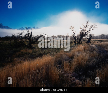 Torres del Paine Foto Stock