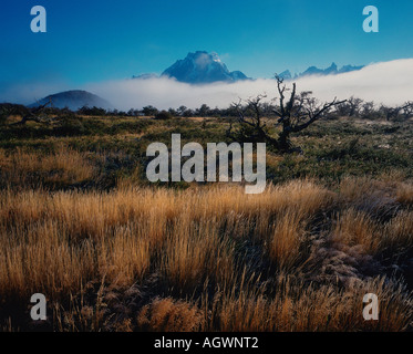 Torres del Paine Foto Stock