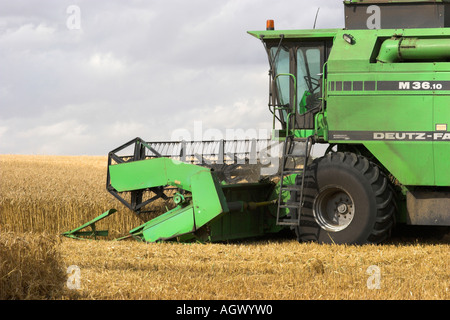 Deutz-Fahr mietitrebbia al lavoro il raccolto di un campo di grano. Herfordshire, Inghilterra Foto Stock