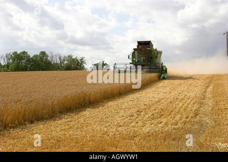 Deutz-Fahr mietitrebbia al lavoro il raccolto di un campo di grano. Herfordshire, Inghilterra Foto Stock