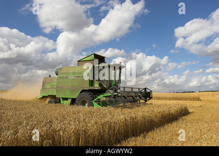 Deutz-Fahr mietitrebbia al lavoro il raccolto di un campo di grano. Hertfordshire, Inghilterra Foto Stock