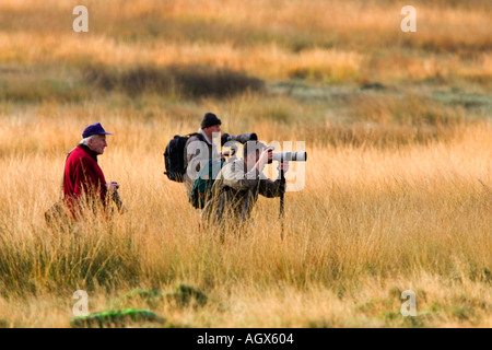 Gli uomini con telecamere e monopods in piedi in erba lunga fotografare i cervi richmond park london Foto Stock