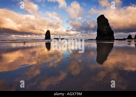 Si tratta di un colpo di Haystack Rock e gli aghi preso poco dopo l'alba sul Cannon Beach, Oregon Coast, STATI UNITI D'AMERICA Foto Stock