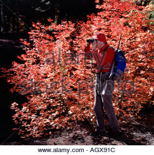 Big Game Hunter scoping l'orizzonte per possibilità di cervo o alce terreno Foto Stock
