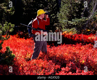 Big Game Hunter scoping l'orizzonte per possibilità di cervo o alce terreno i colori autunnali abbondano Foto Stock