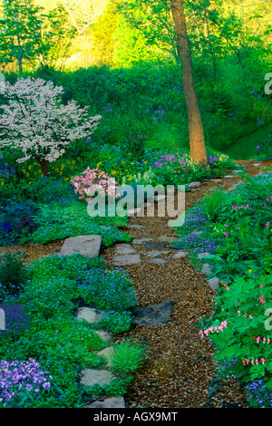 Percorso aggregato curve in primavera ombra giardino con molti fiori che sbocciano e bianco albero di corniolo Foto Stock