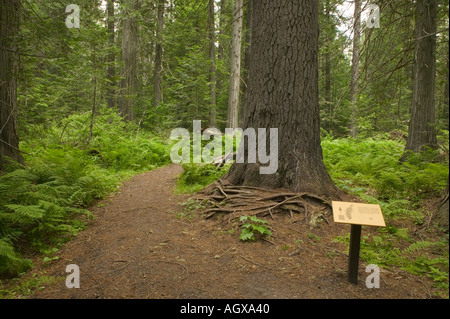 Hanna Appartamenti Cedar Grove dichiarazioni interpretative Trail Foto Stock