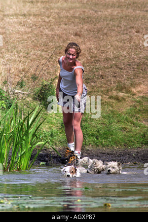 Una donna lascia il suo terrier cani rinfrescarvi presso il DOUBLEPRINT British Horse Trials campionati a GATCOMBE PARK GLOUCESTERSHIRE U Foto Stock