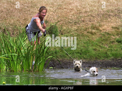 Una donna lascia il suo terrier cani rinfrescarvi presso il DOUBLEPRINT British Horse Trials campionati a GATCOMBE PARK GLOUCESTERSHIRE U Foto Stock