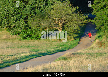 Runner Parliament Hill, Hampstead Heath, Camden, Londra, Inghilterra, REGNO UNITO, GB. Foto Stock