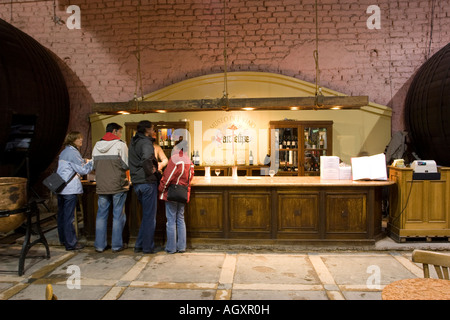 Persone che acquistano le bottiglie di vino in cantina shop nella Bodega La Rural, Mendoza, Argentina. Il museo del vino. Foto Stock