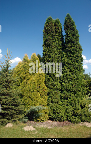 Giardini botanici Powsin vicino Varsavia POLONIA Foto Stock