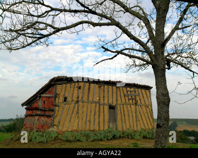 Vecchio quadro sparso su un campo di Guascogna Francia Foto Stock