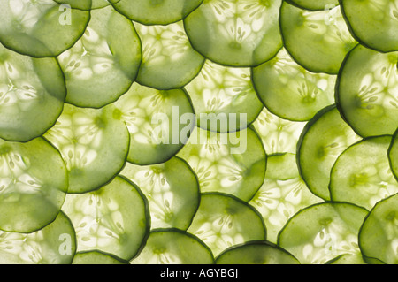 Cucumis sativus " Fadia' (cetriolo) Modello retroilluminato da fette di cetriolo. Foto Stock